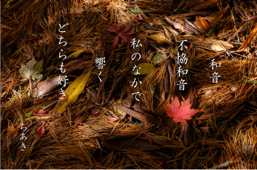 a0238738_21192184.png