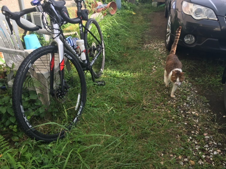 b0060239_20534330.jpeg