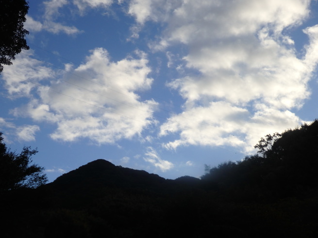 a0054240_20472262.jpg