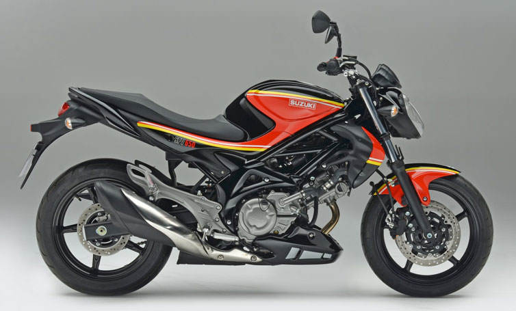 SV650 エンジンガード