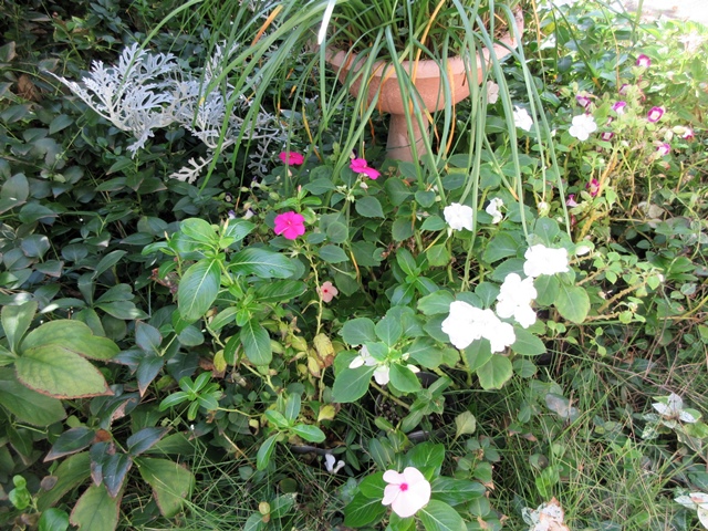 b0009849_1040890.jpg