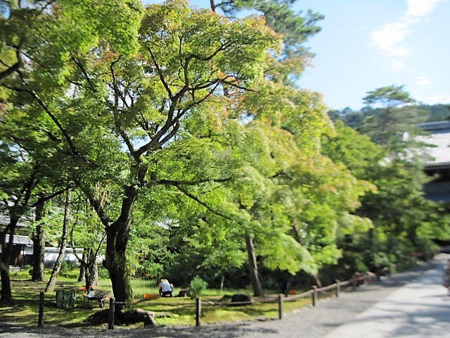 f0379049_01212355.jpg