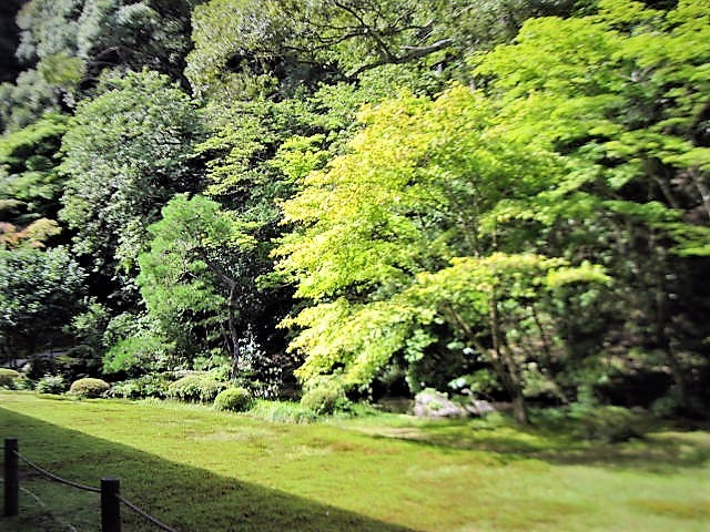 f0379049_01213658.jpg