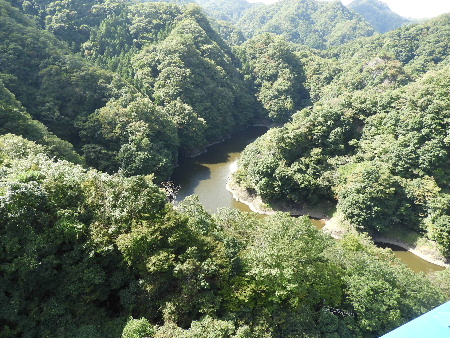 e0172950_75405.jpg