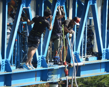 e0172950_76340.jpg