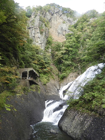 e0172950_78163.jpg