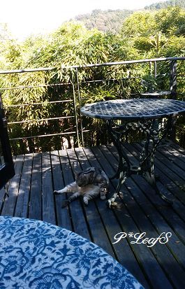 c0176651_18073548.gif