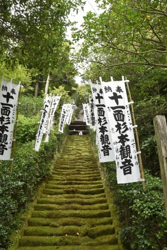 b0400153_10332323.jpg