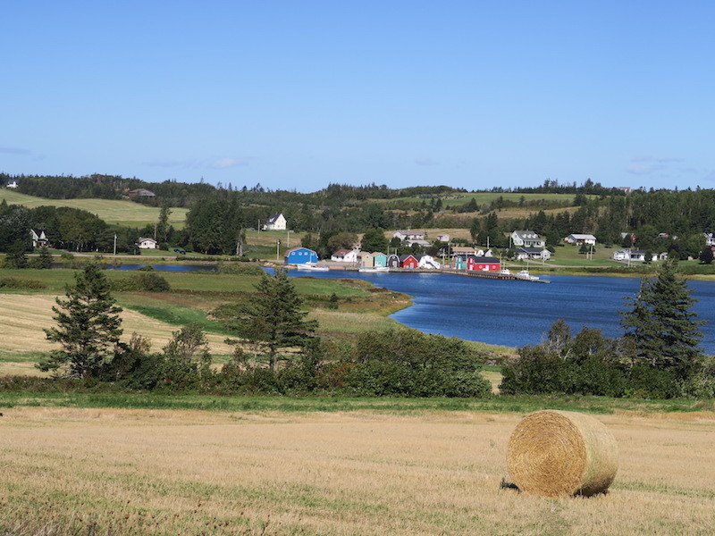 b0090654_04032846.jpg