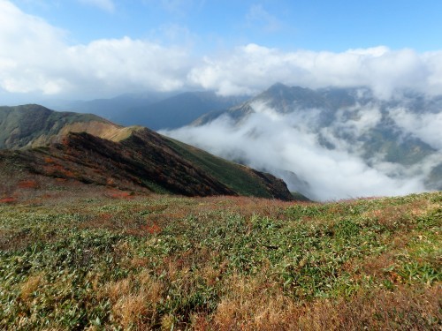 b0335256_11064354.jpg