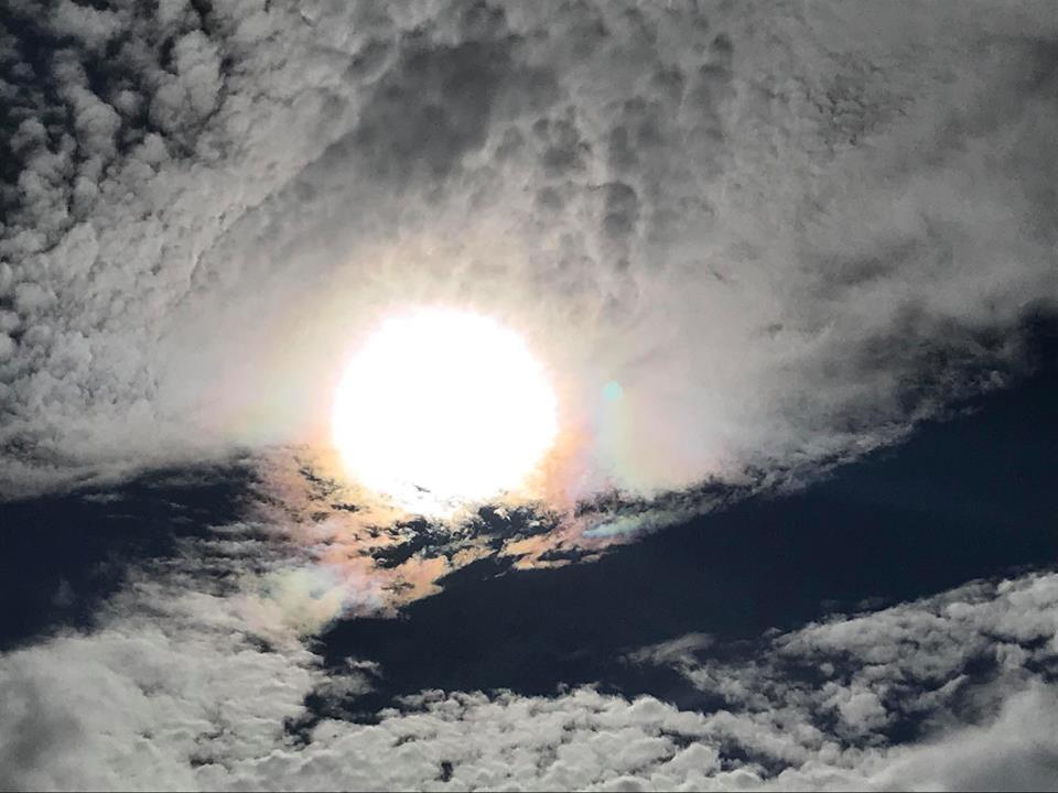 b0160957_18541161.jpg