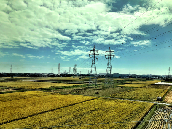 b0181457_00552700.jpg