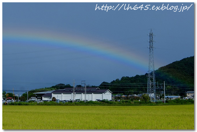 逸れた台風後に見た虹～祝！セレヴィとの対面_c0178465_17242963.jpg