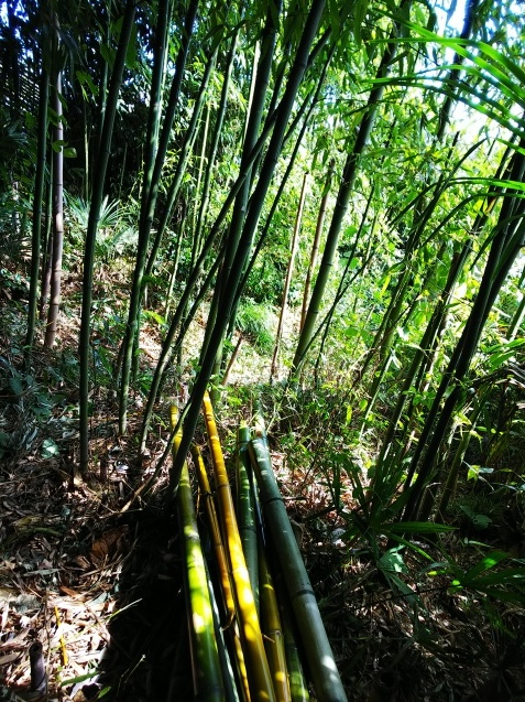 f0032766_20094214.jpg