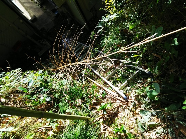 f0032766_20101944.jpg