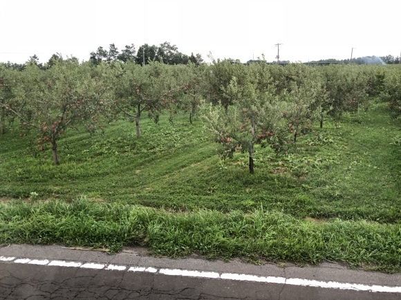 d0178877_19460683.jpeg