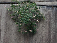 f0222378_11353089.jpg