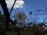 f0222378_1622181.jpg