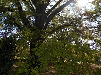 f0222378_16315399.jpg