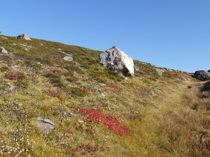 c0171889_1757194.jpg