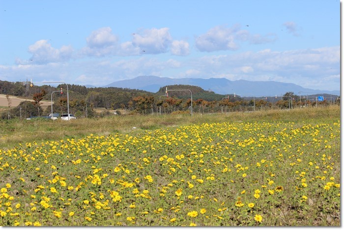 f0146493_22041604.jpg