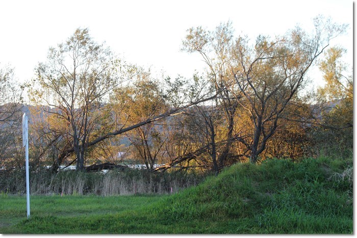 f0146493_22073598.jpg
