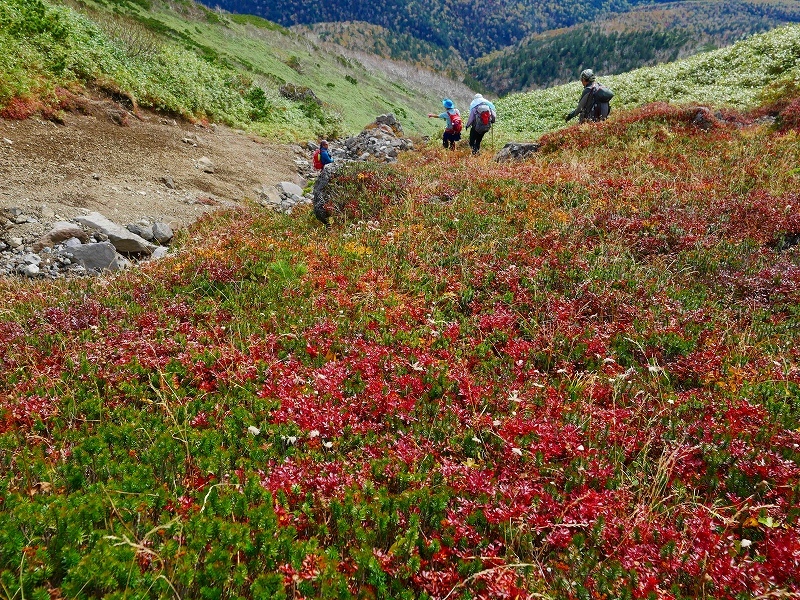 f0138096_20005042.jpg
