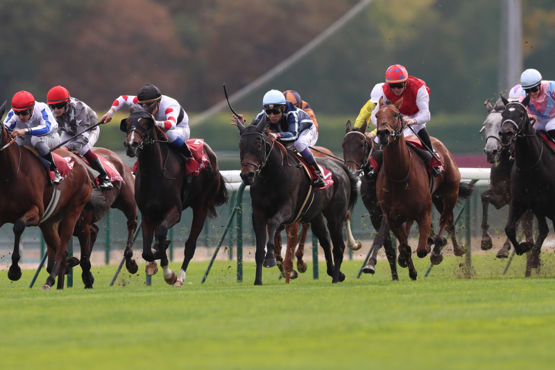 2018年10月6、7日　Prix  de  l\'Arc  de  Triomphe_f0204898_11173648.jpg