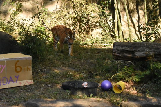 d0090801_18323807.jpg