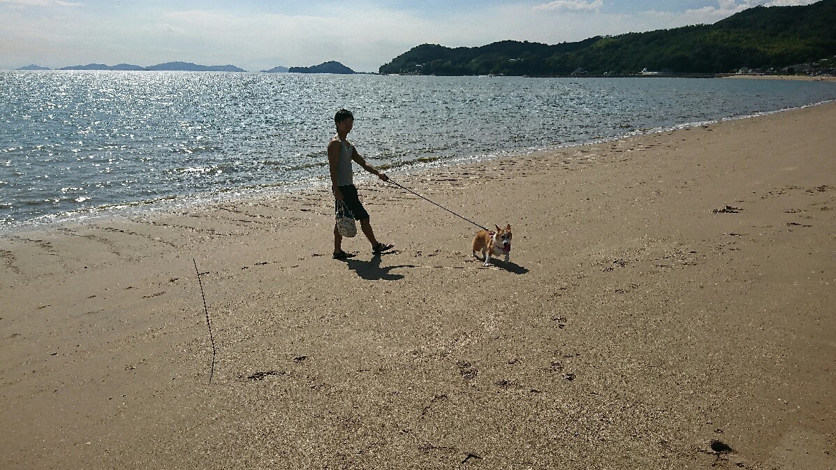 f0371101_16023353.jpg