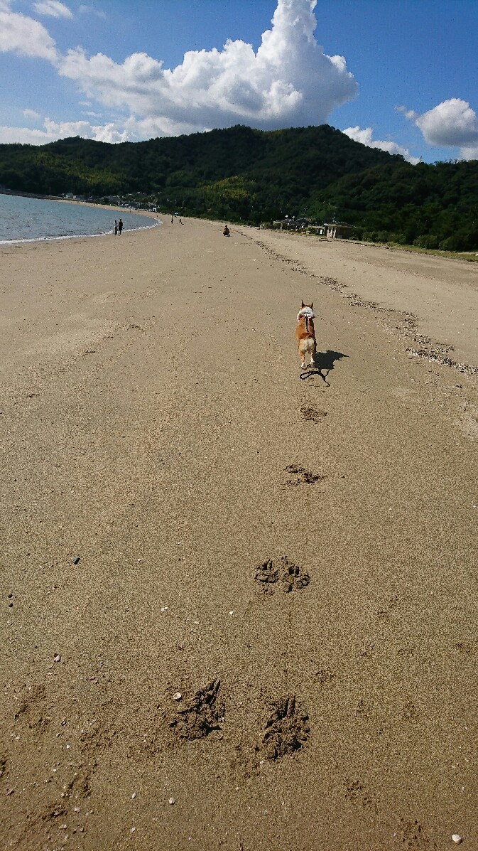 f0371101_16060269.jpg