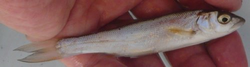 c0024502_2171343.jpg