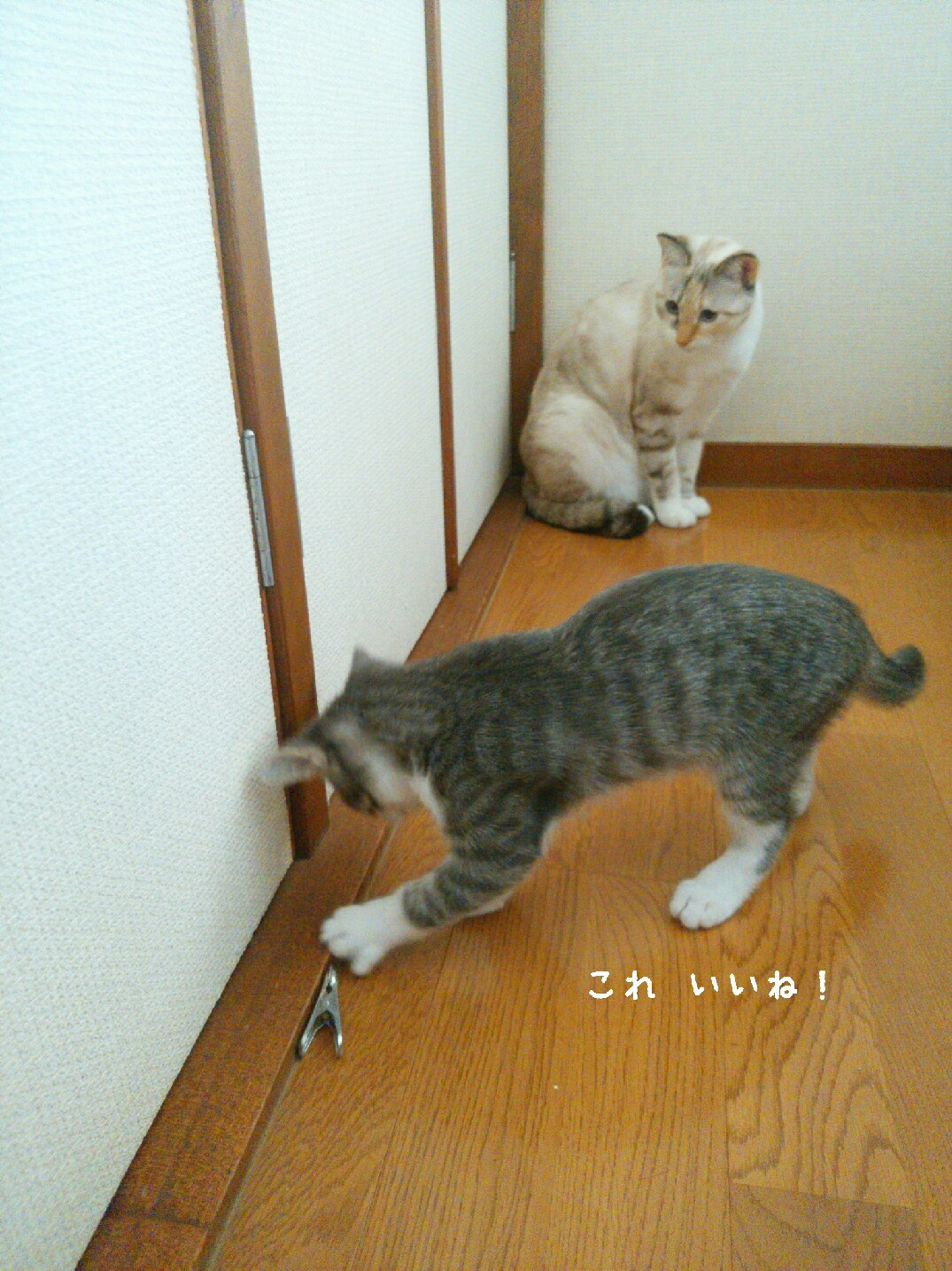 f0255704_12250614.jpg