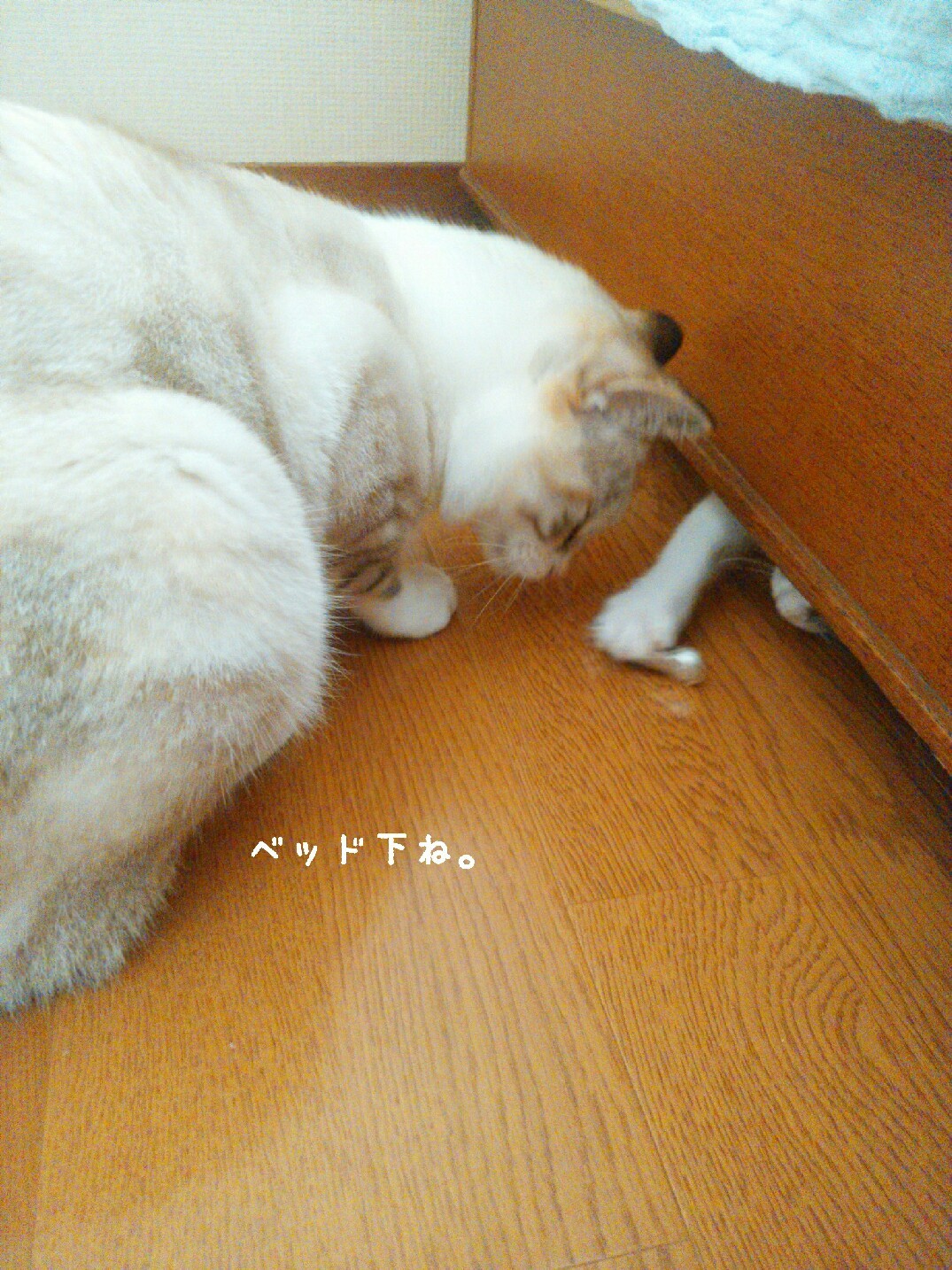 f0255704_12250710.jpg