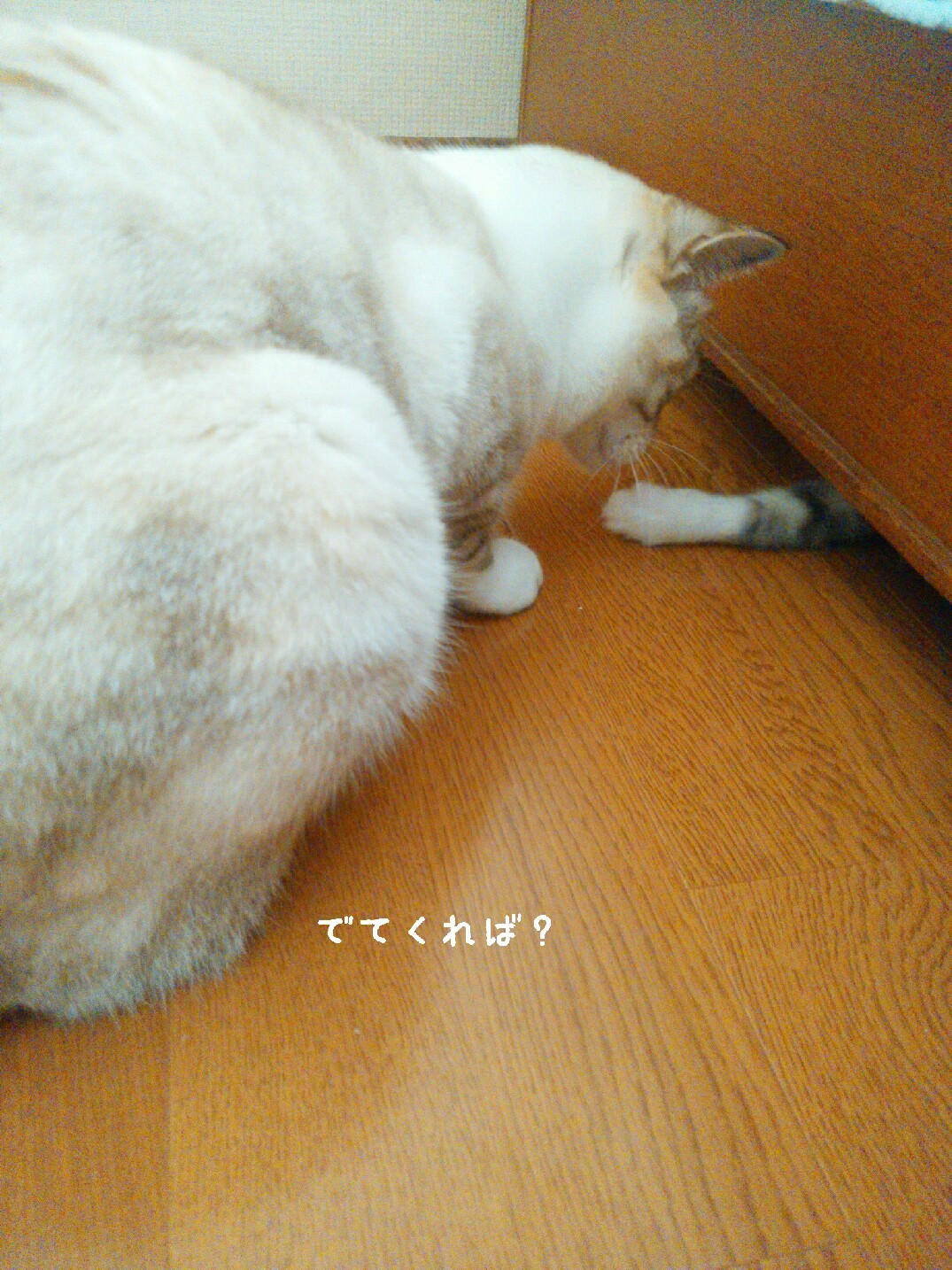 f0255704_12250731.jpg
