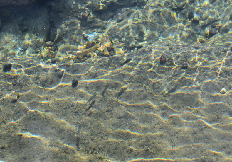 c0336907_22035761.jpg
