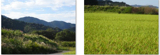 f0231709_23193562.gif