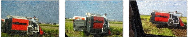 f0231709_23195221.gif