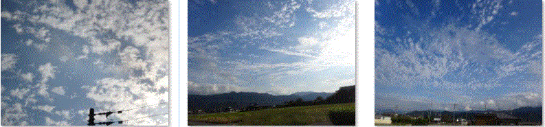 f0231709_23264977.gif