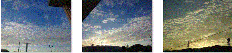 f0231709_23272173.gif