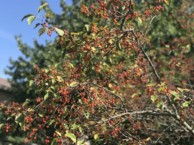 b0365715_03544326.jpg