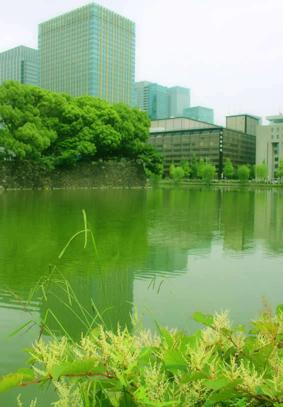 a0329820_11272886.jpg