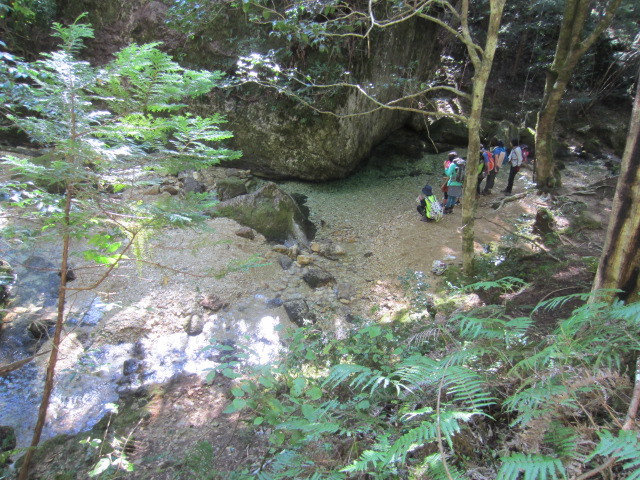 f0016320_20361058.jpg