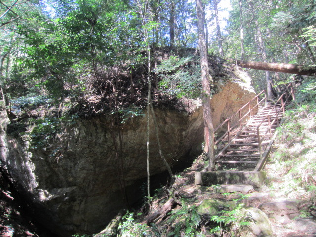 f0016320_20365137.jpg