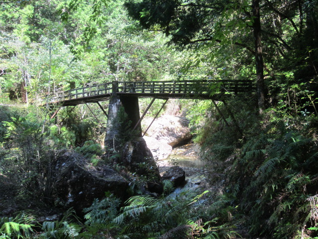 f0016320_20371566.jpg