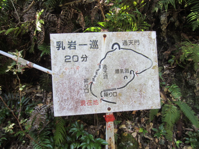 f0016320_20421716.jpg