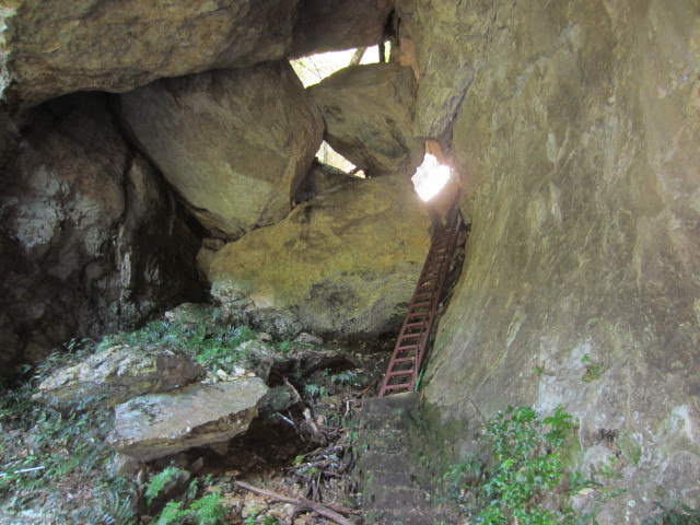 f0016320_20432504.jpg