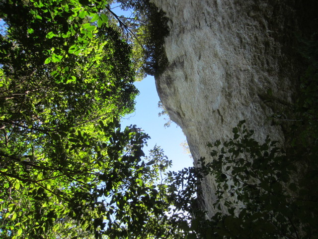 f0016320_20471858.jpg