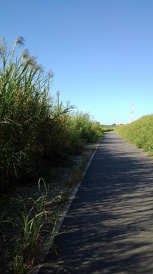 a0172222_10553337.jpg
