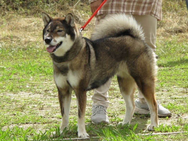 f0143123_09381332.jpg